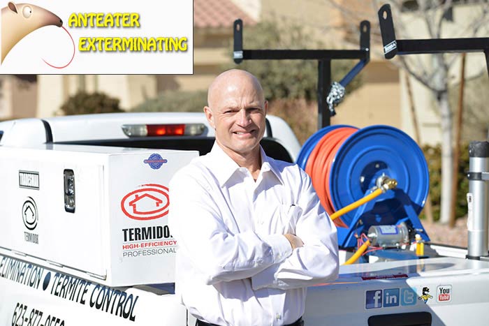 Pest Control Service Phoenix | Anteater Exterminating Inc.