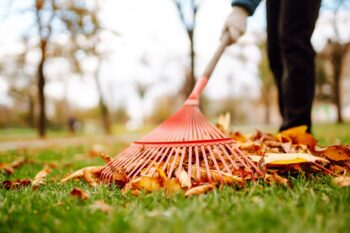 Exterminator Scottsdale Az