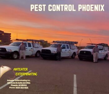 Pest Control Phoenix AZ