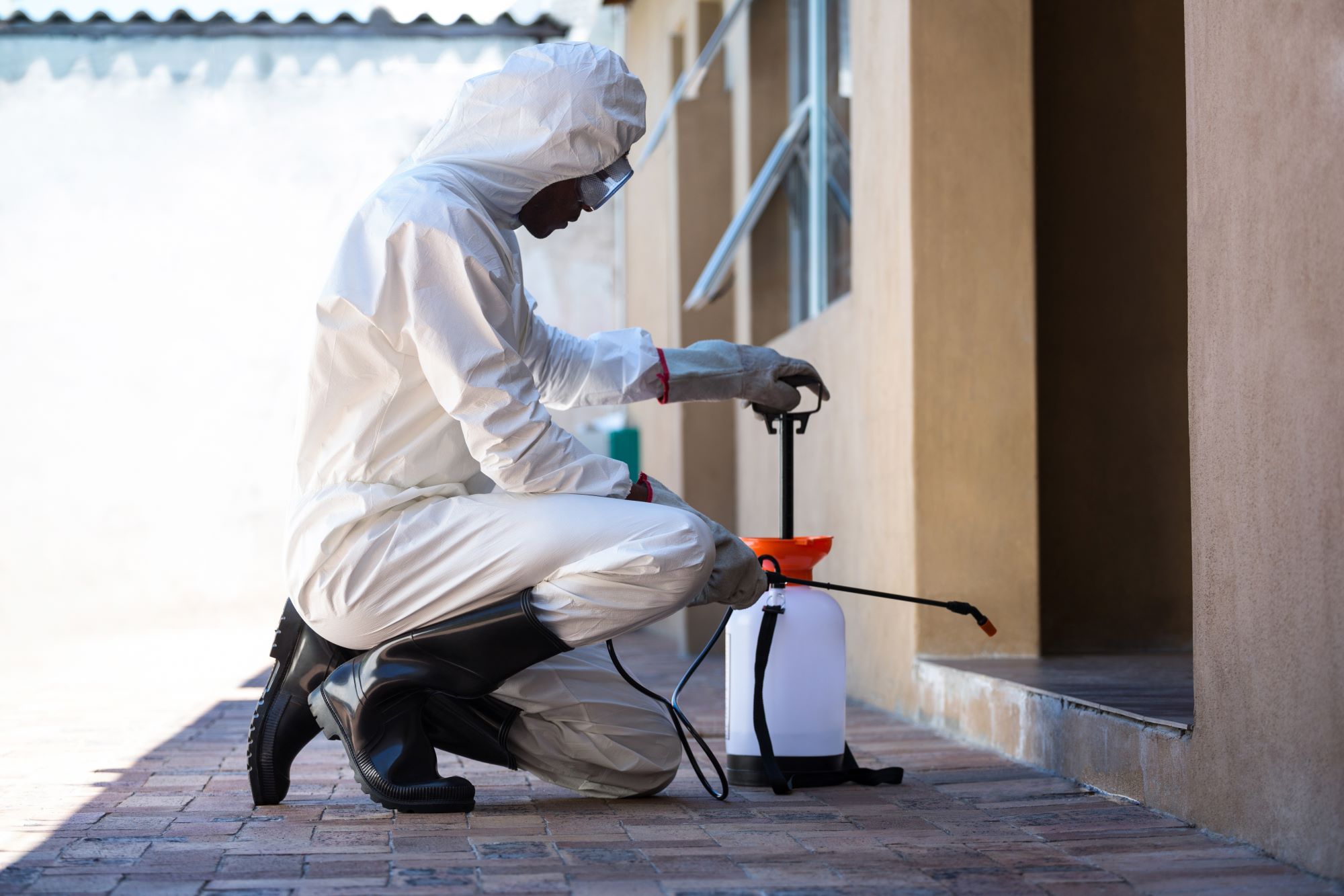 Exterminator Phoenix AZ